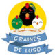 LOGO-GRAINES DE LUSO